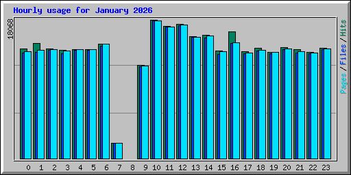 Hourly usage for January 2026