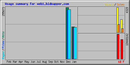 Usage summary for web1.bidnapper.com